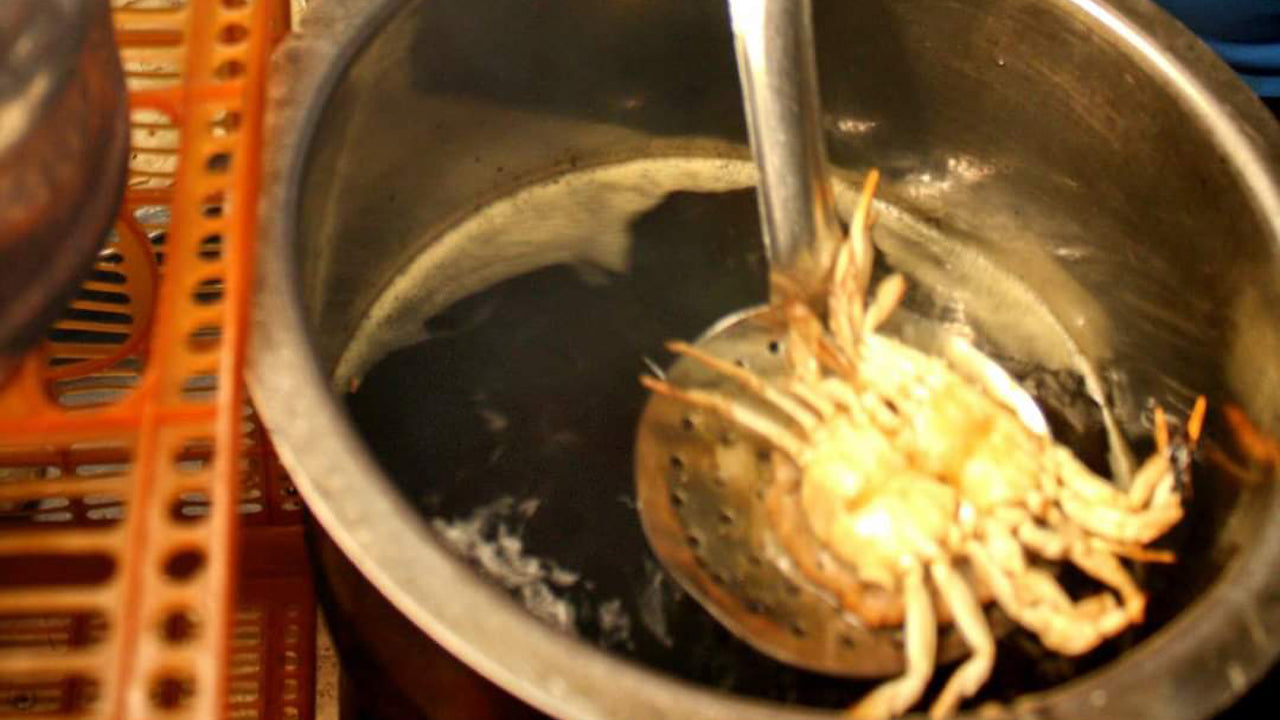 Excursion à vélo dans la rue au départ de Colombo