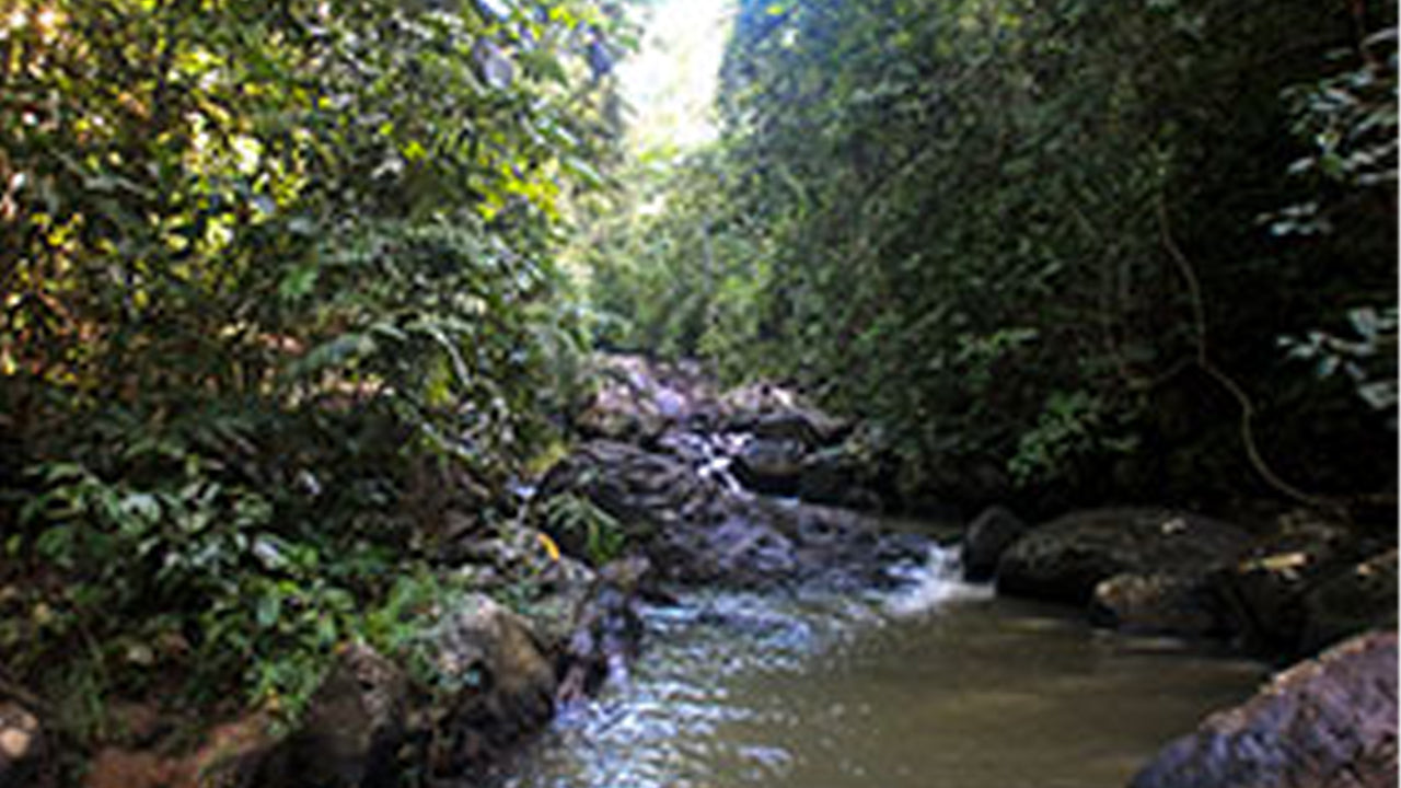 35Km Mountain Bike Day Ride from Galle