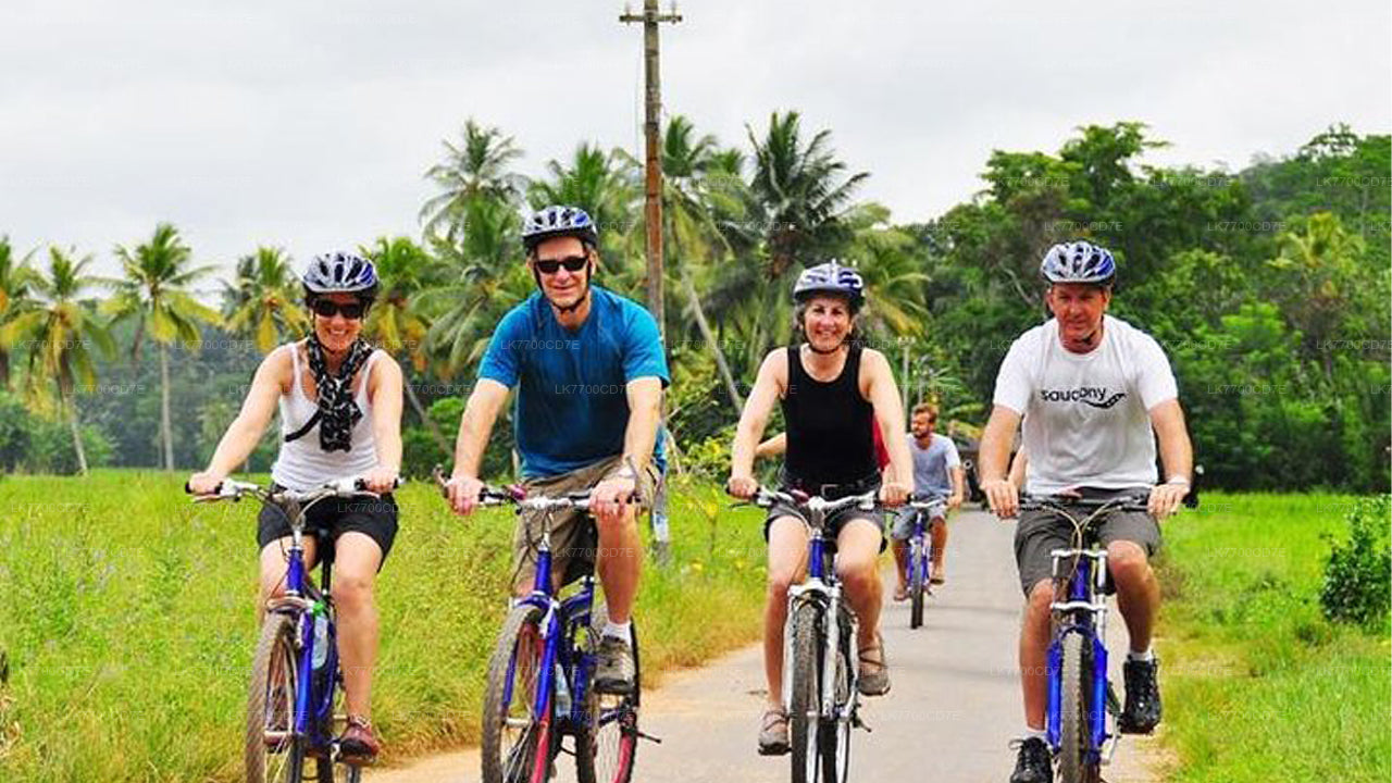 Morning Sporting Cycling Tour From Galle