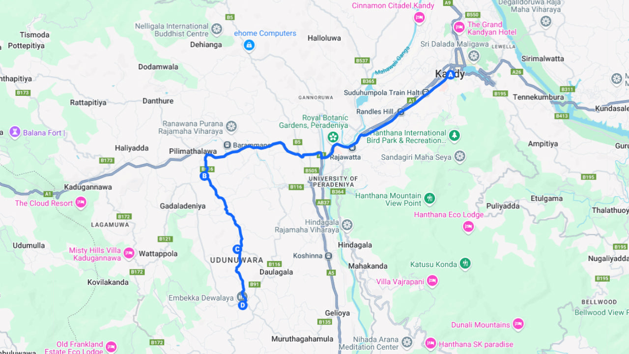 Excursion à vélo de 3 temples Loop au départ de Kandy