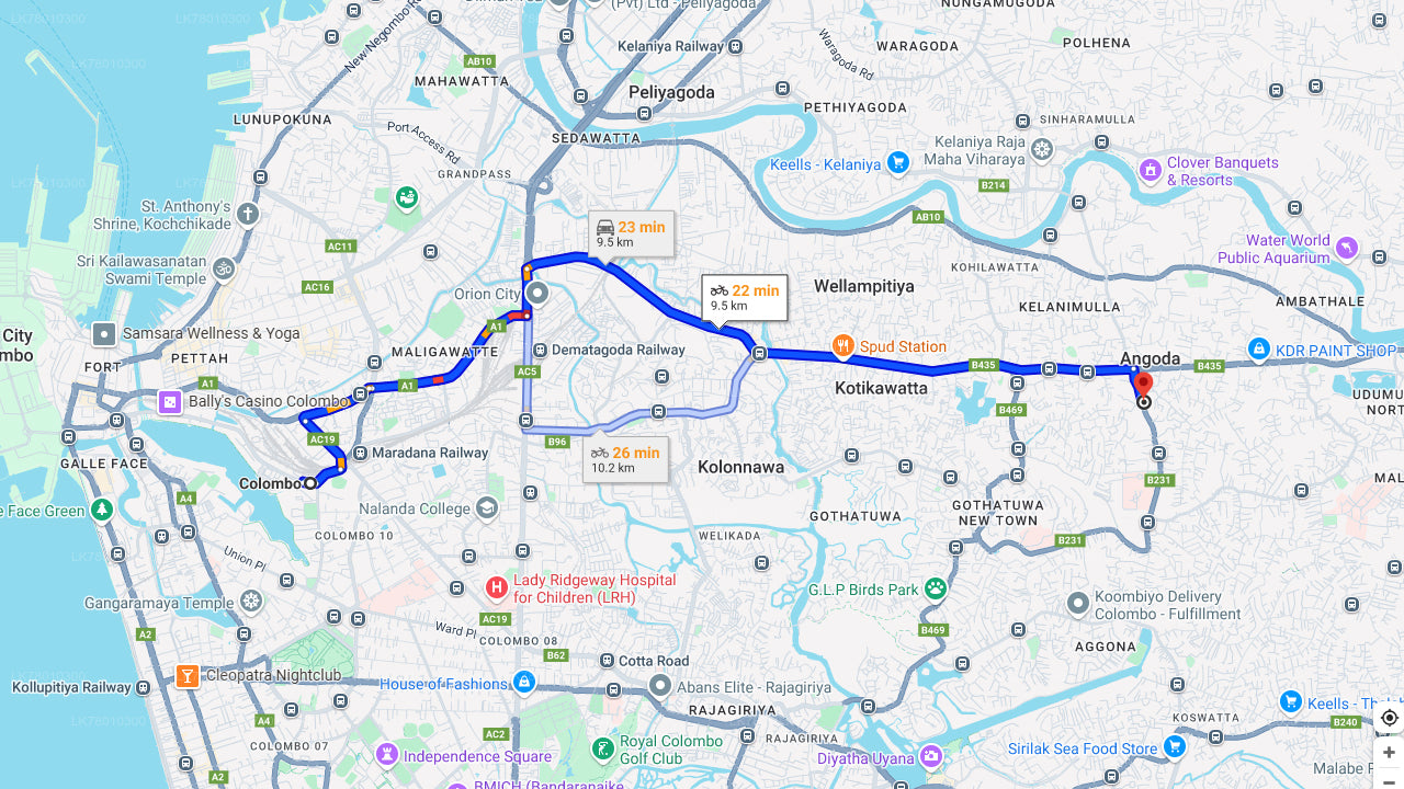 Visite du marché et cours de cuisine au départ de Colombo