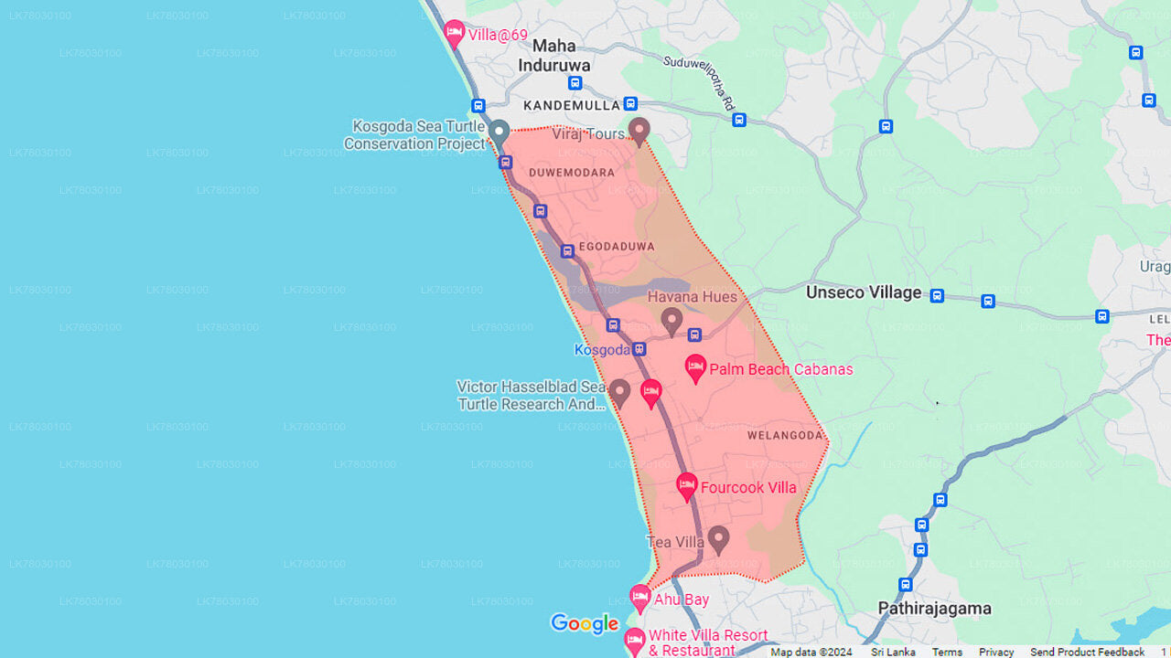 Cours de cuisine sri-lankaise à Bentota