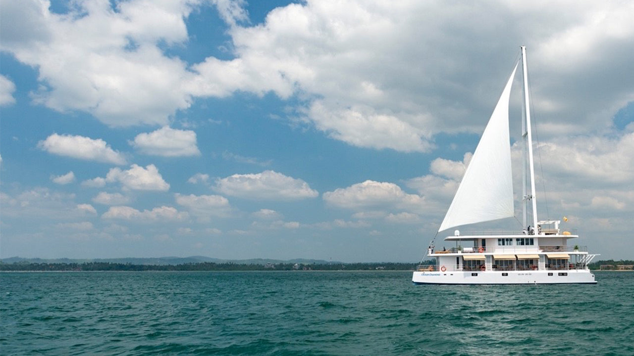 Croisière d'une nuit au départ de Mirissa à bord de l'Ocean Diamond