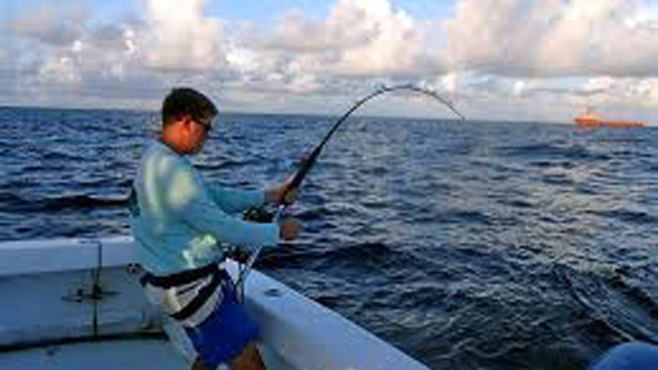 Croisière de pêche d'une nuit au départ de Mirissa