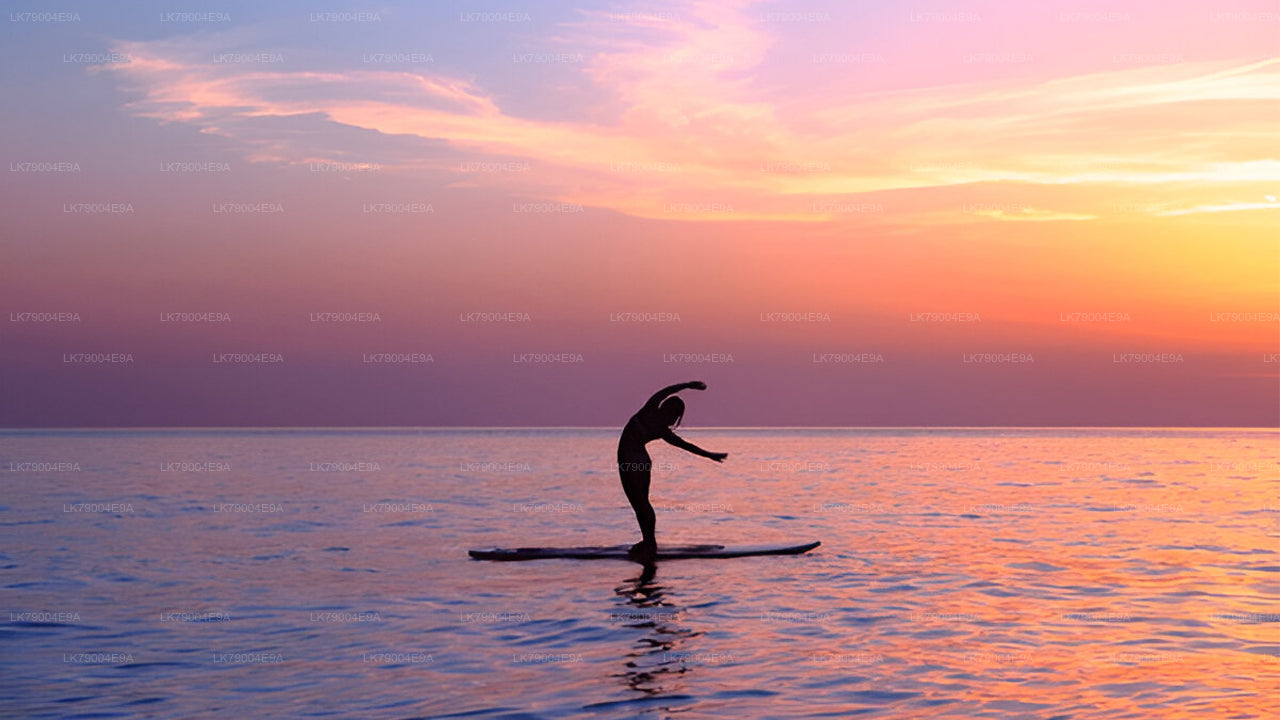 Croisière partagée de 3 heures au coucher du soleil au départ de Galle