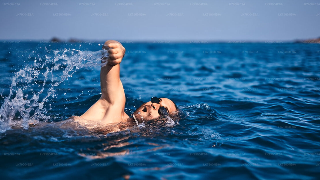 Croisière partagée de 3 heures au coucher du soleil au départ de Galle
