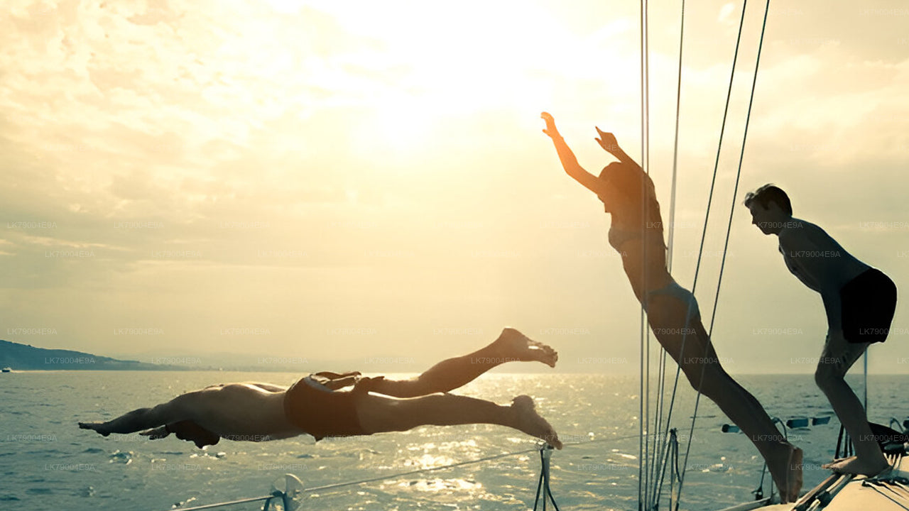 Croisière partagée de 3 heures au coucher du soleil au départ de Galle