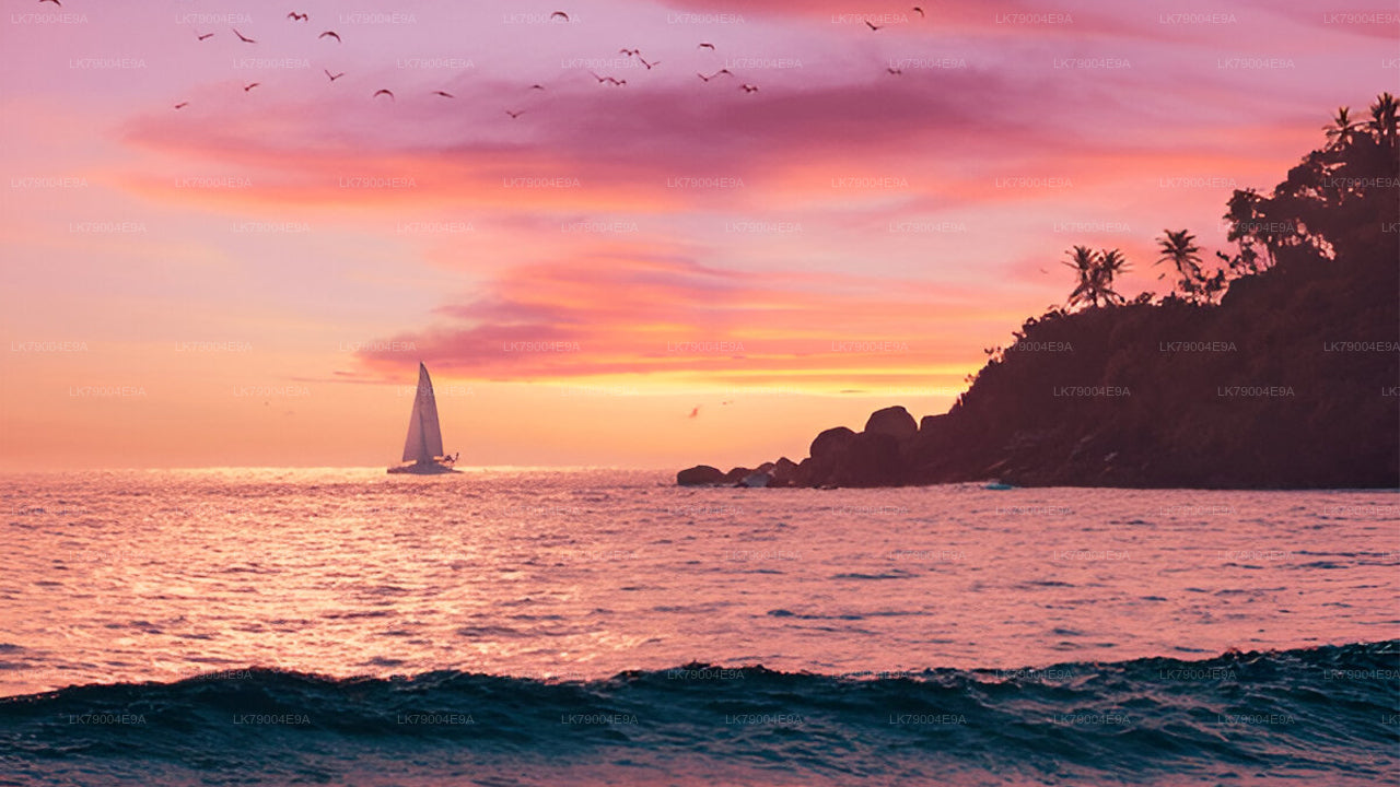 Croisière partagée de 3 heures au coucher du soleil au départ de Galle