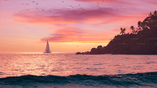 Croisière partagée de 3 heures au coucher du soleil au départ de Galle