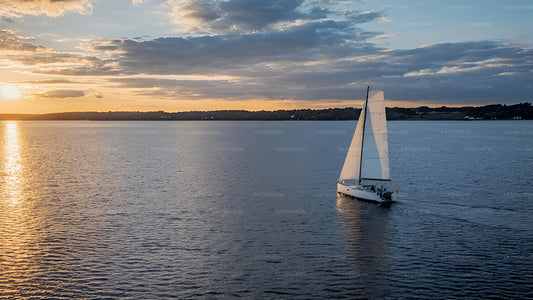 Croisière partagée de 3 heures au coucher du soleil au départ de Mirissa