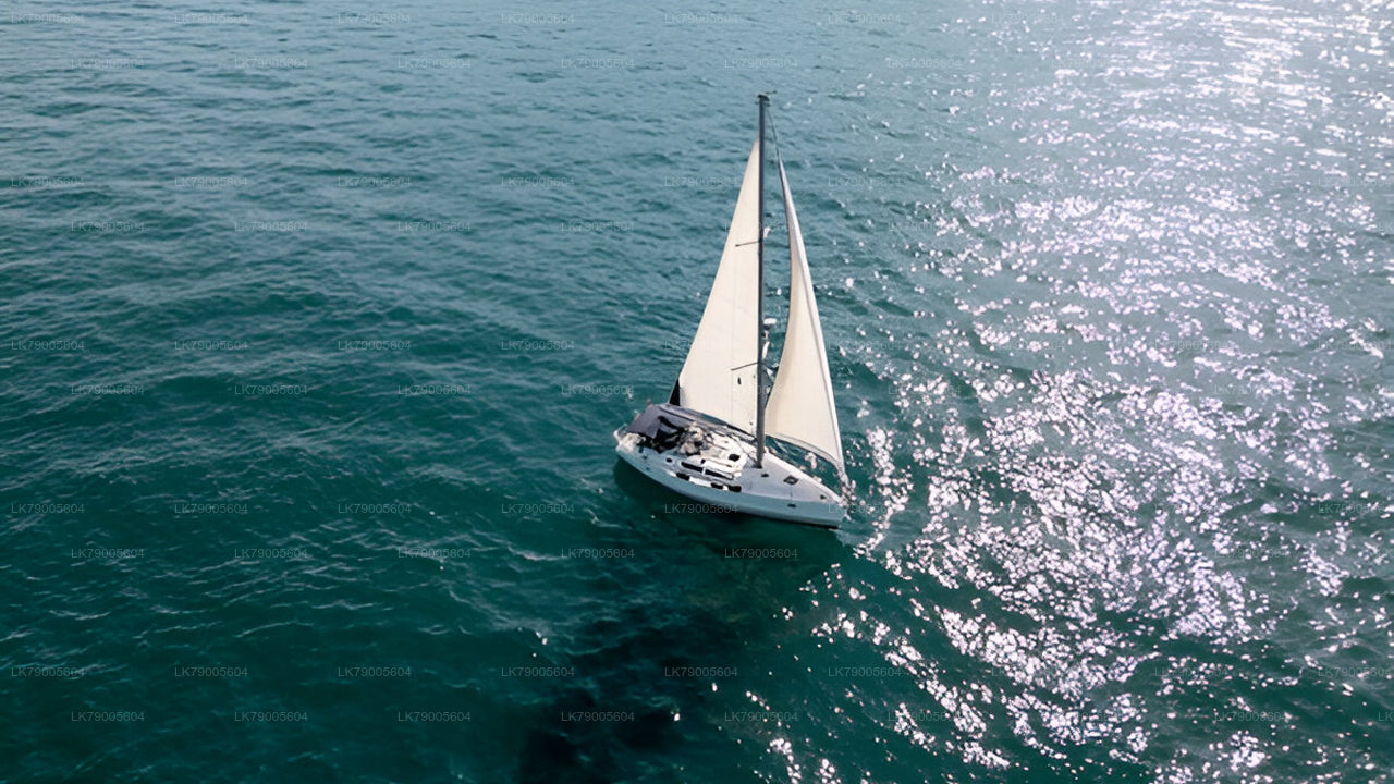 Private Sailing Experience from Colombo