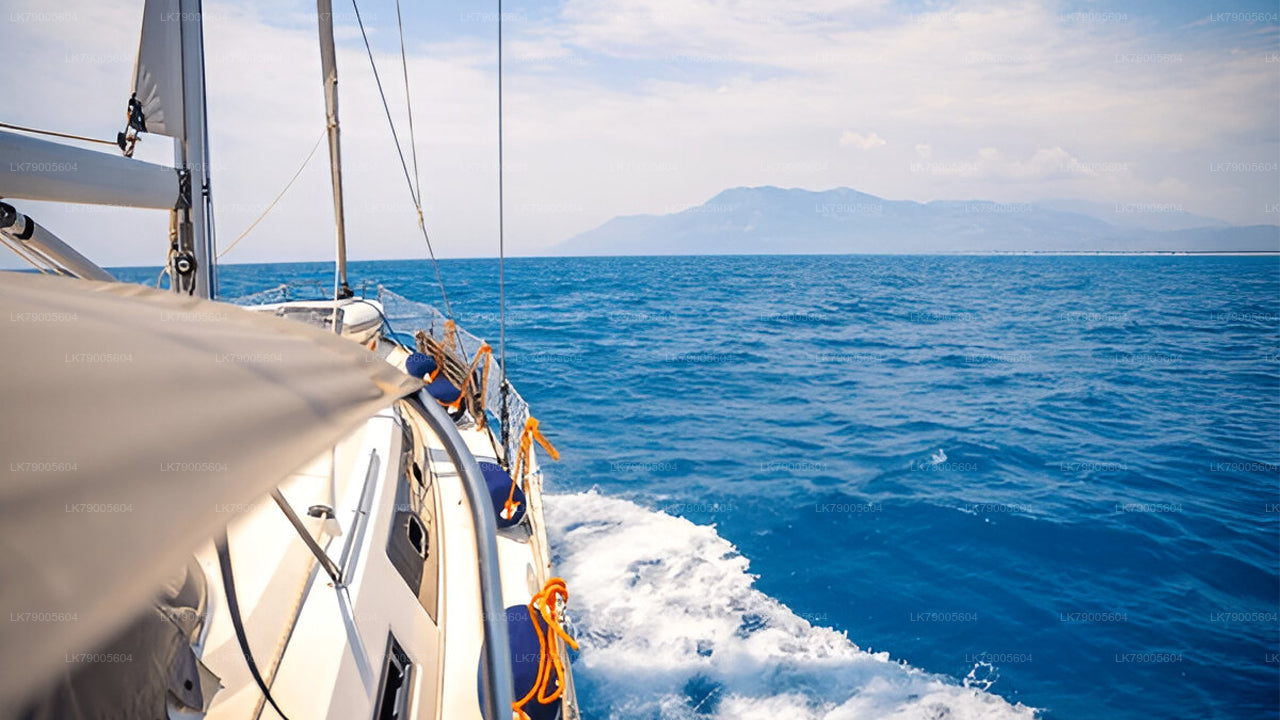 Private Sailing Experience from Colombo