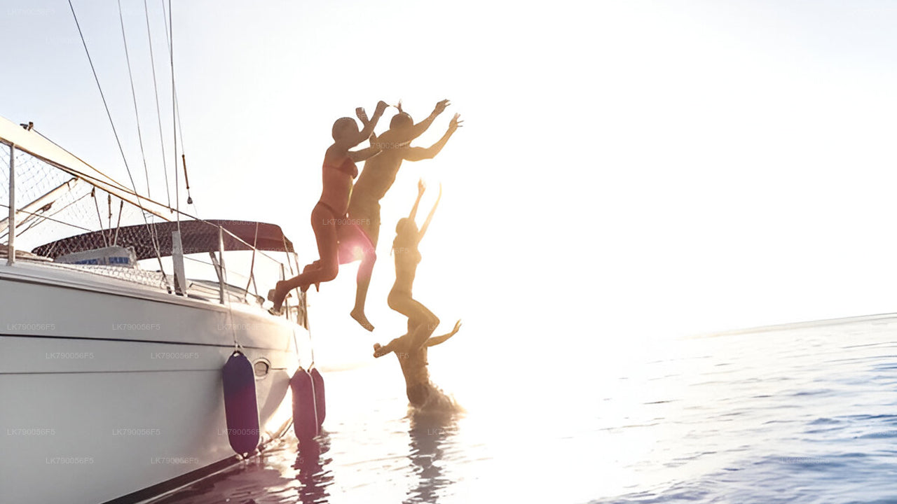 Croisière d'une nuit au départ de Mirissa à bord de l'Ocean Diamond