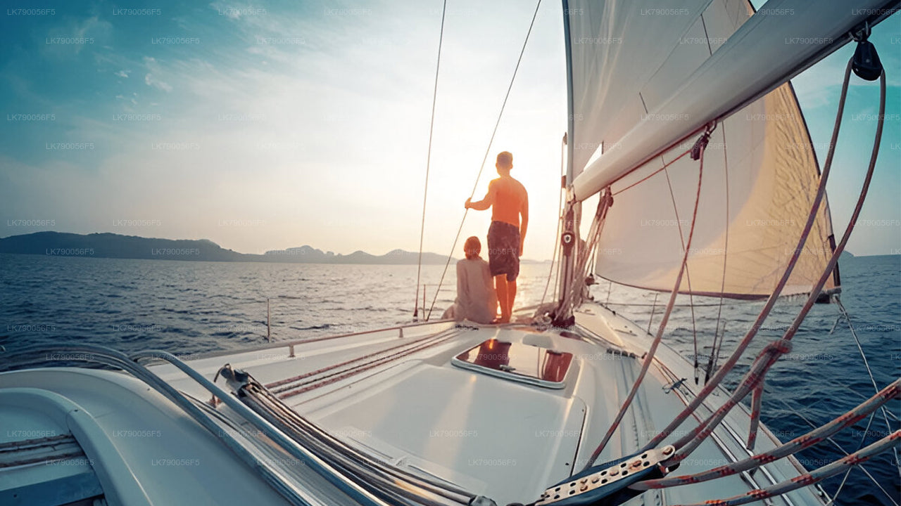 Croisière d'une nuit au départ de Mirissa à bord de l'Ocean Diamond