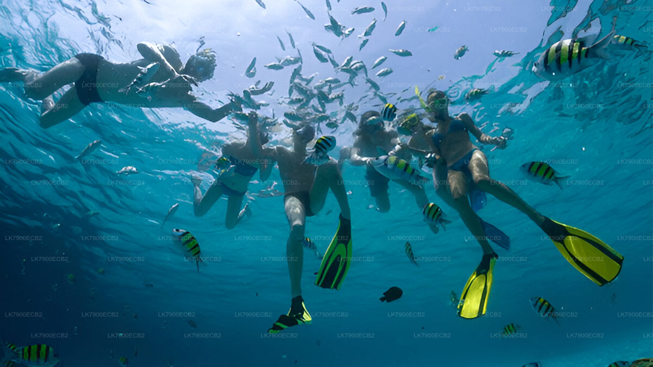 Croisière de 6 nuits au départ de Mirissa à bord de l'Ocean Diamond