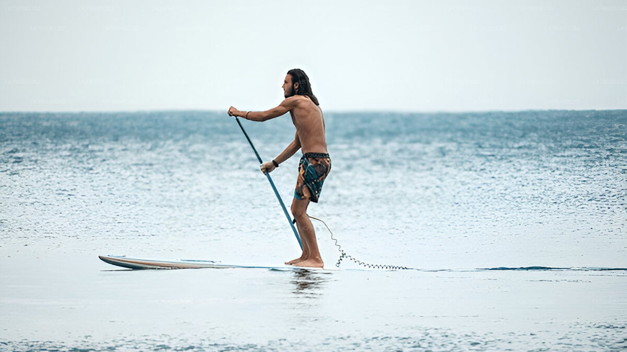 Croisière de 6 nuits au départ de Mirissa à bord de l'Ocean Diamond