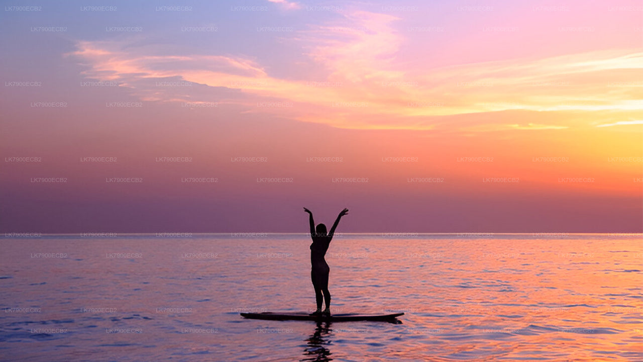Croisière de 6 nuits au départ de Mirissa à bord de l'Ocean Diamond