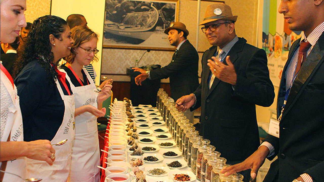 Dégustation de thé de Ceylan à Colombo