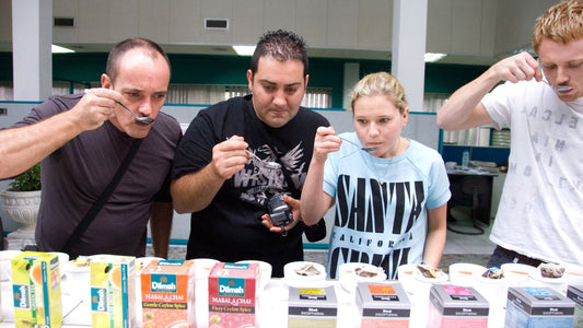 Dégustation de thé de Ceylan à Colombo