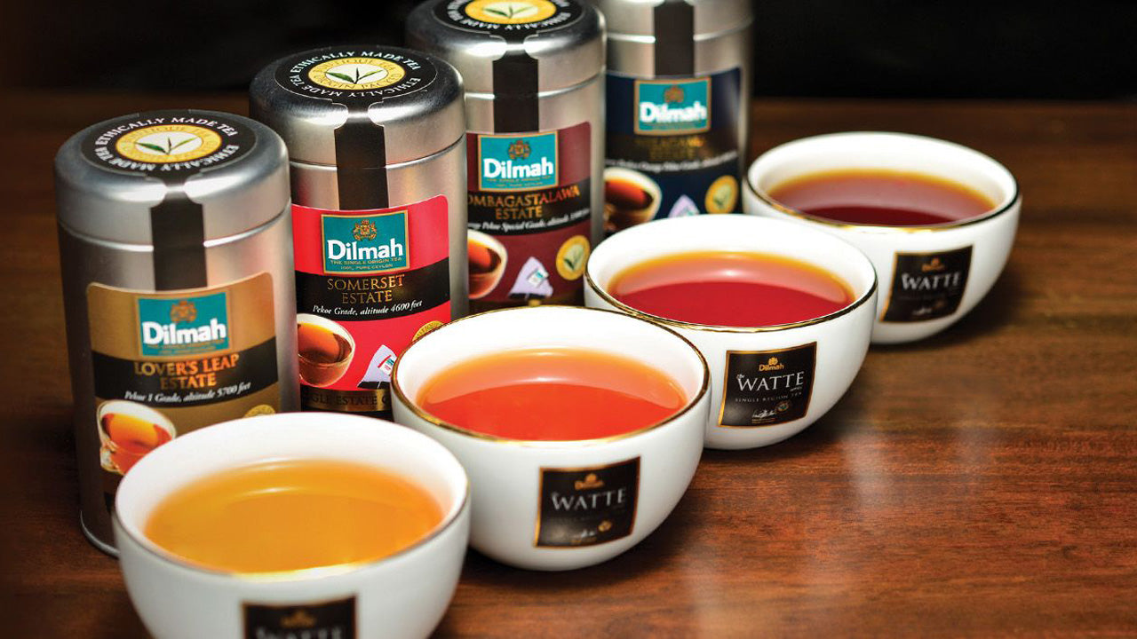 Dégustation de thé de Ceylan à Colombo