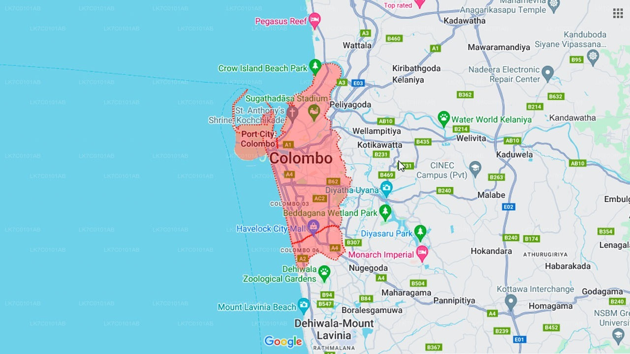 Sri Lankan Street Food Tour from Colombo