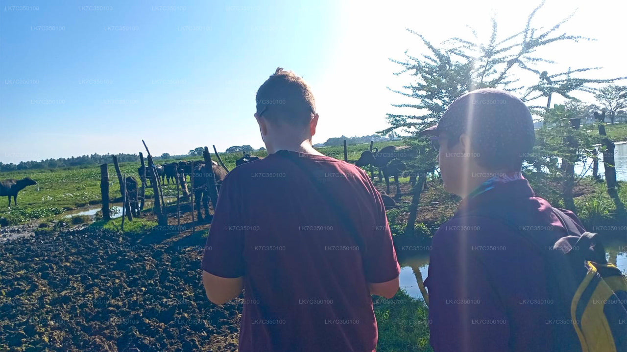 Expérience de traitement du caillé à Tissamaharama