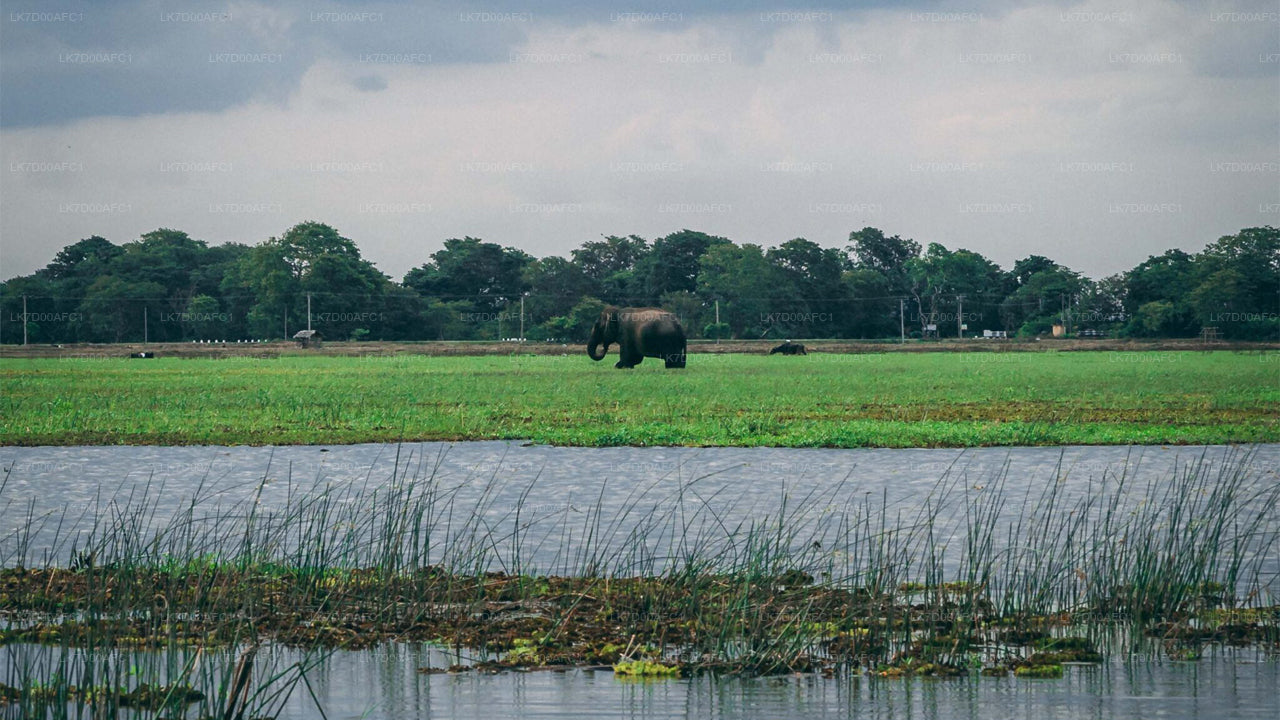 Pottuvil Lagoon Tour by Raft
