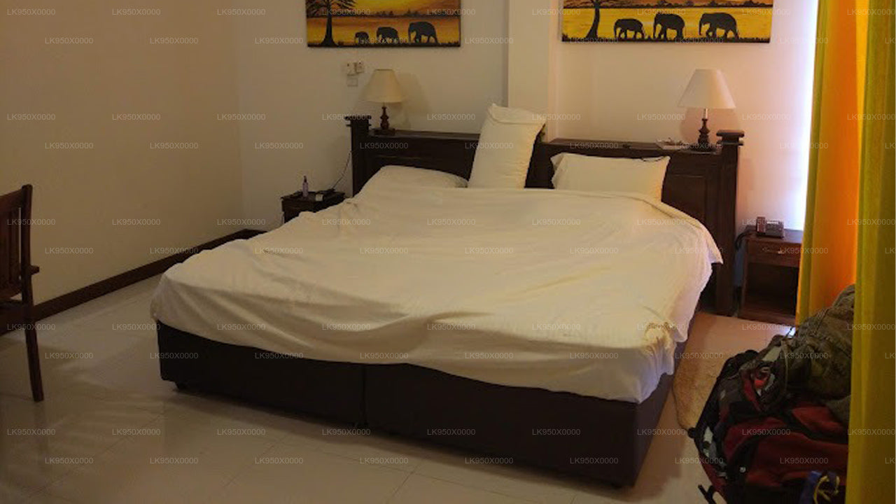 turtles rest & curry bowl, Hikkaduwa