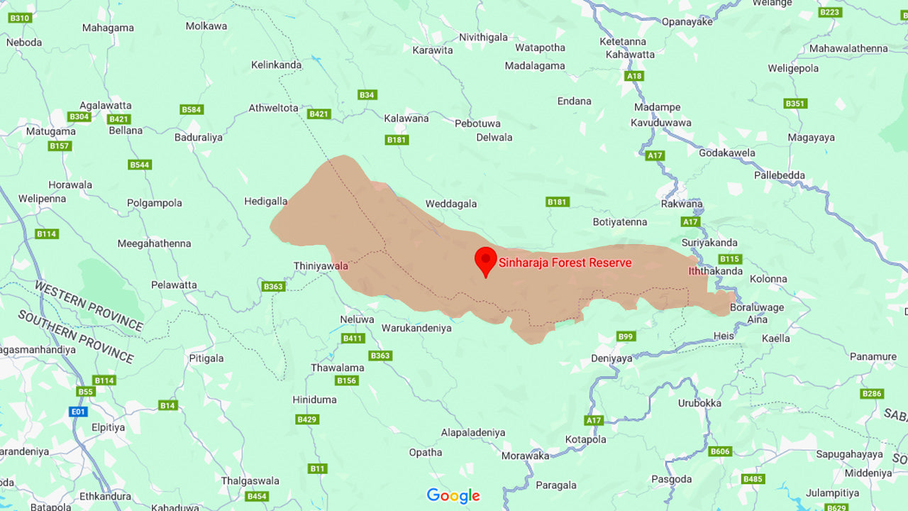 Circuit aventure dans la forêt tropicale de Sinharaja