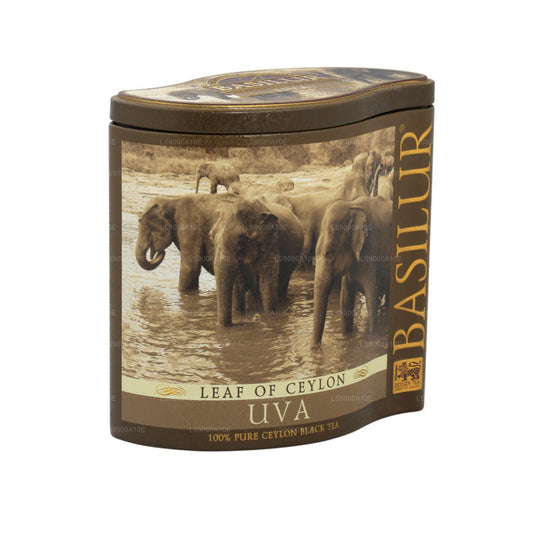 Boîte à feuilles de basilic de Ceylan « Uva » (100 g)