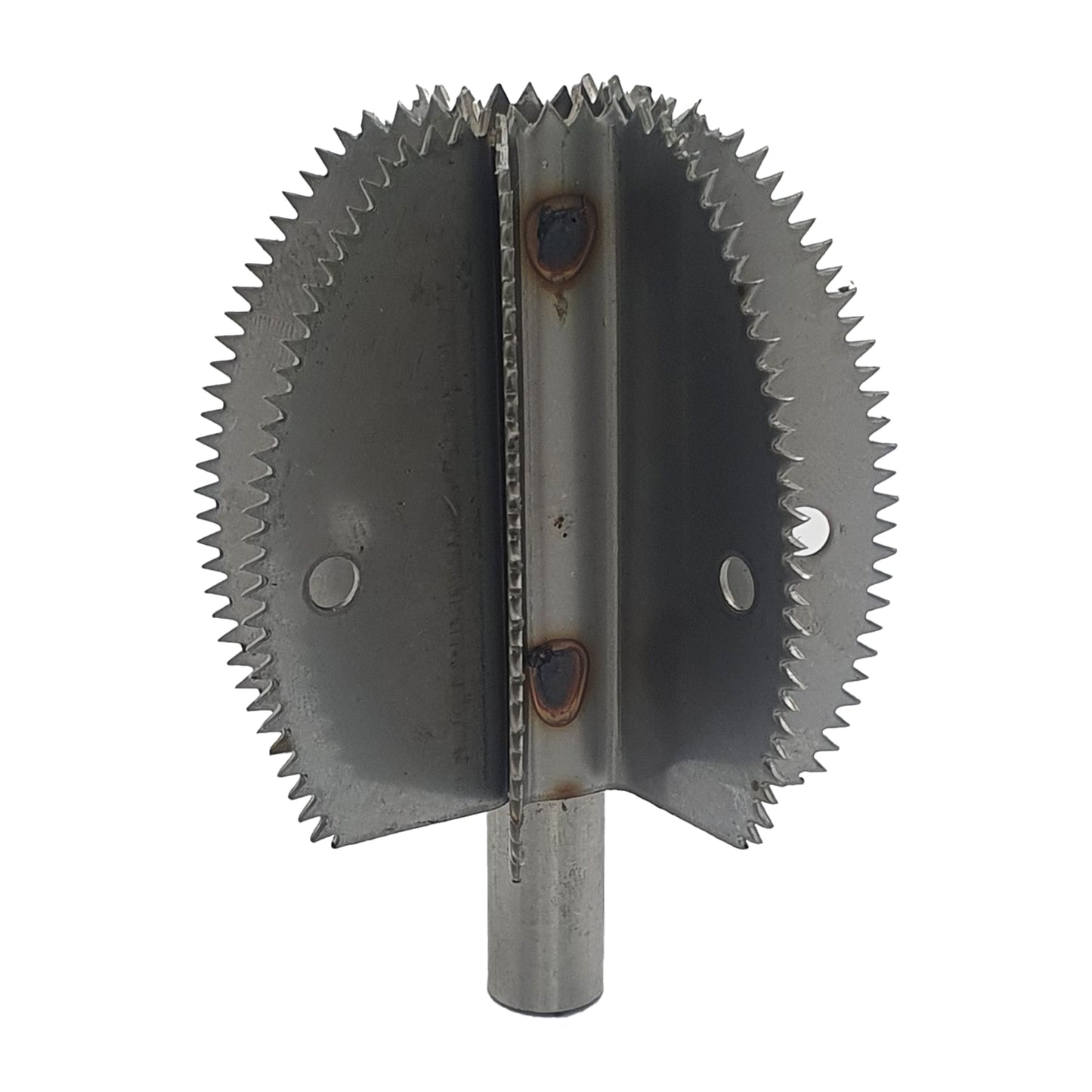 Lame de rechange pour grattoir à noix de coco Odiris