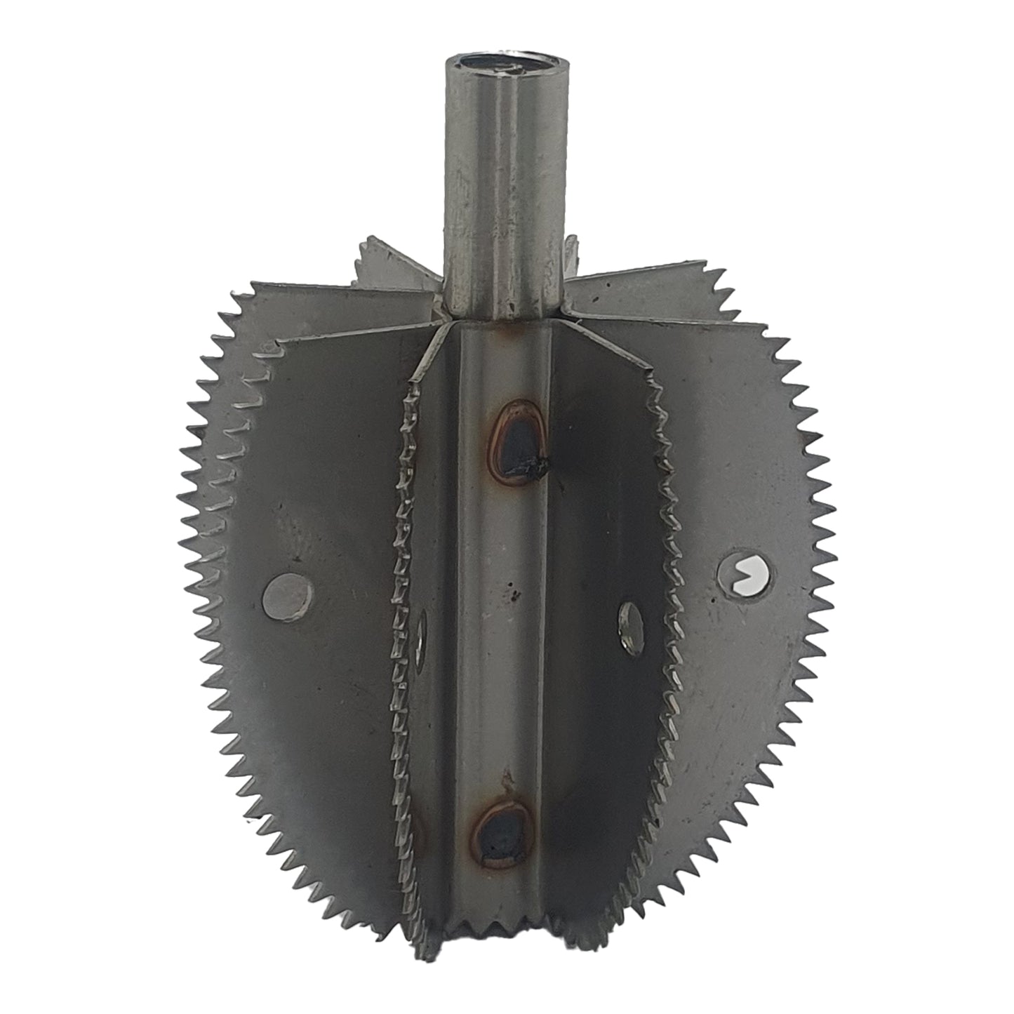 Lame de rechange pour grattoir à noix de coco Odiris