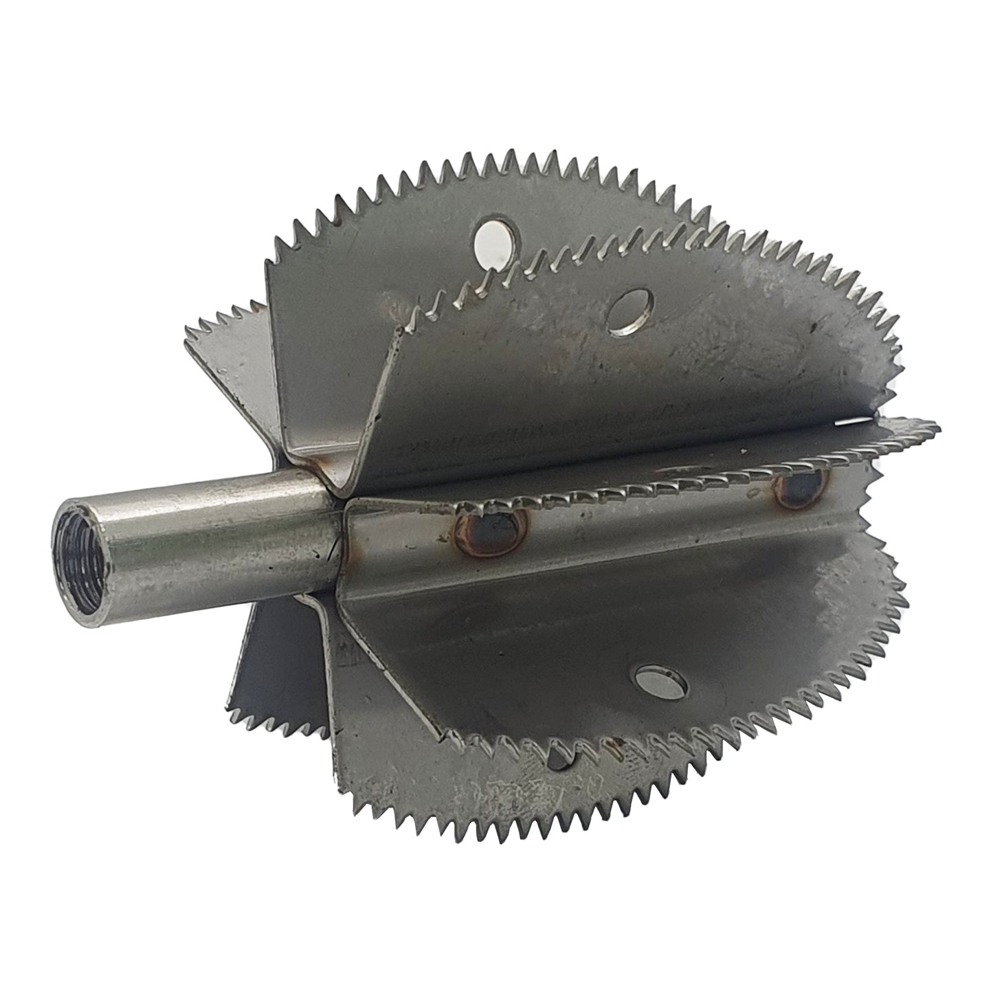 Lame de rechange pour grattoir à noix de coco Odiris