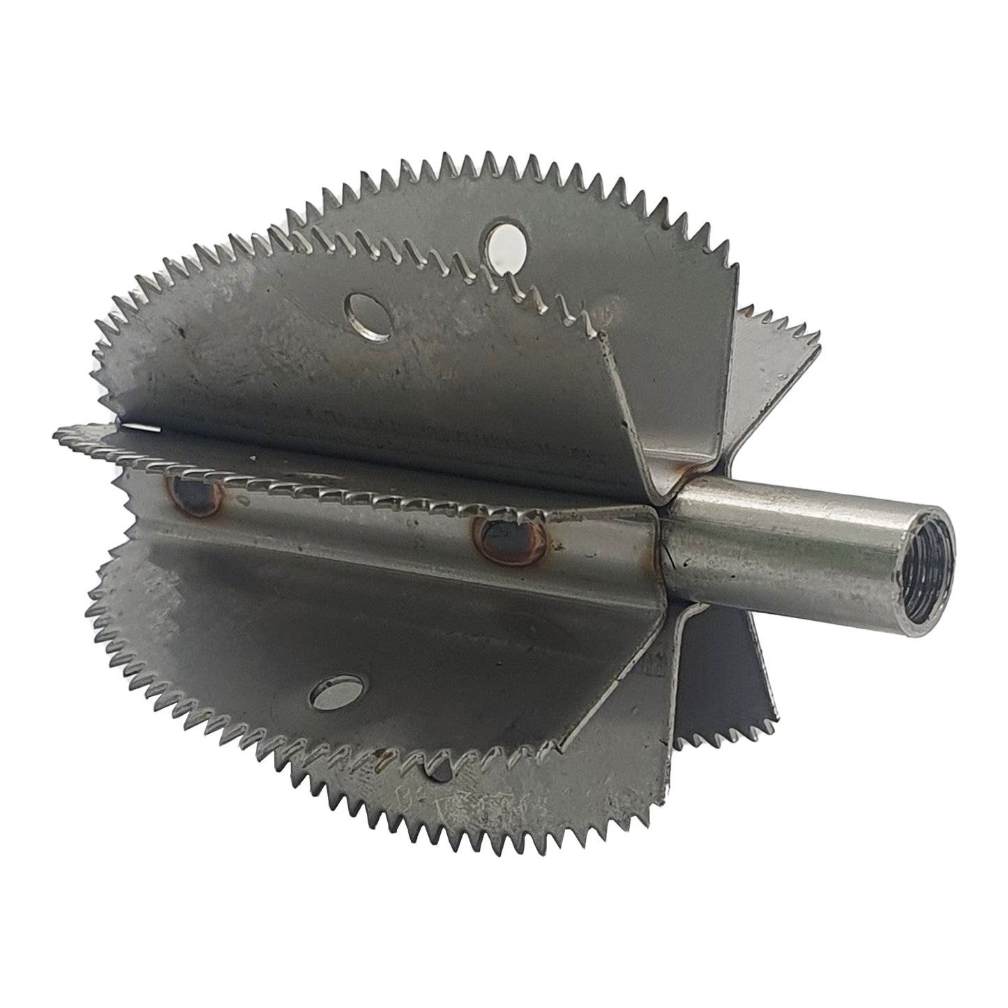 Lame de rechange pour grattoir à noix de coco Odiris