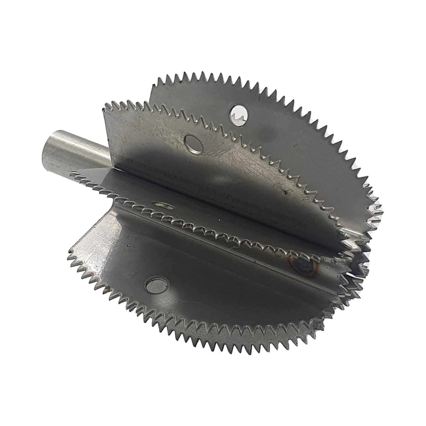 Lame de rechange pour grattoir à noix de coco Odiris