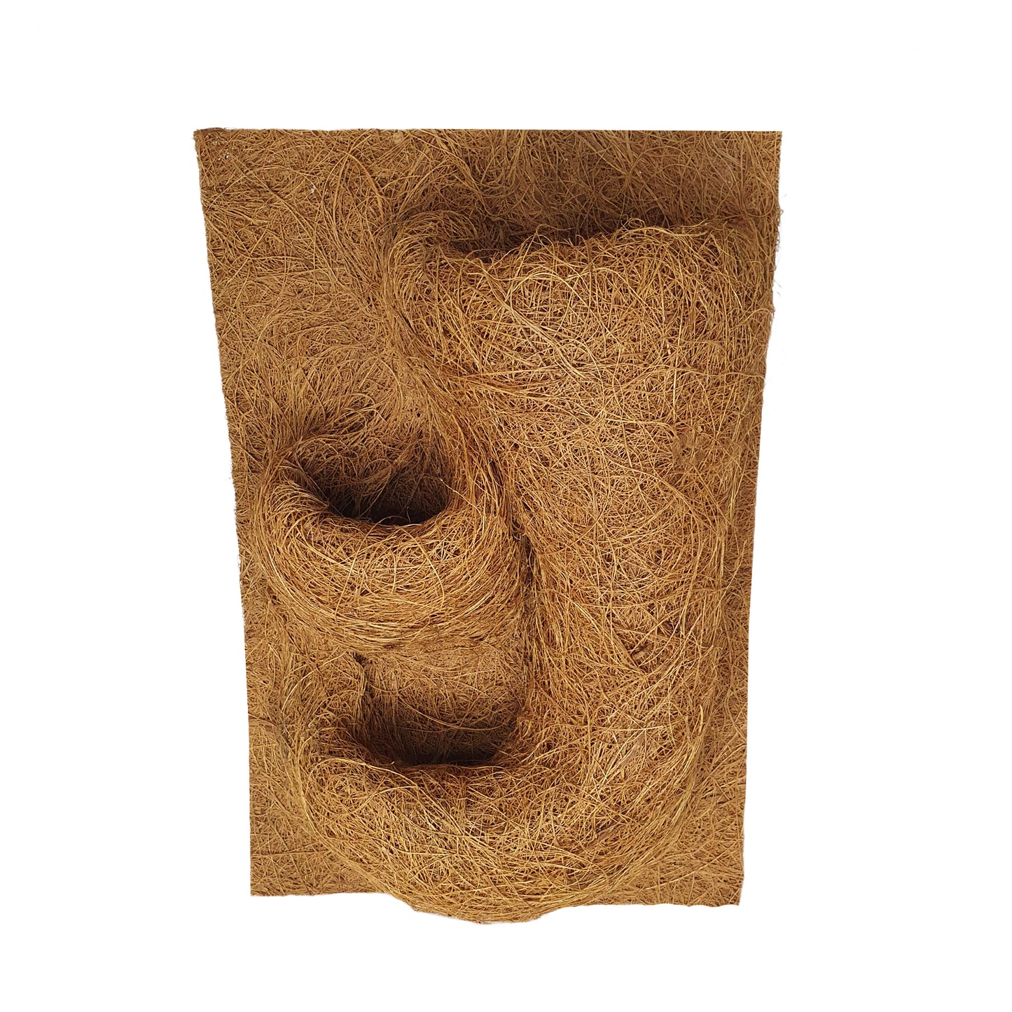 Fond de plantation de coco naturel Bivenro (20 cm x 30 cm)