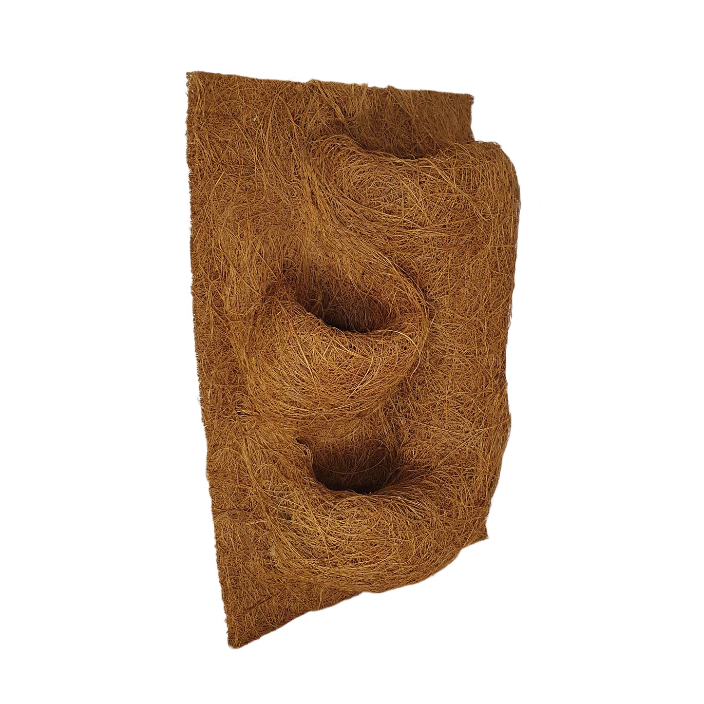 Fond de plantation de coco naturel Bivenro (20 cm x 30 cm)