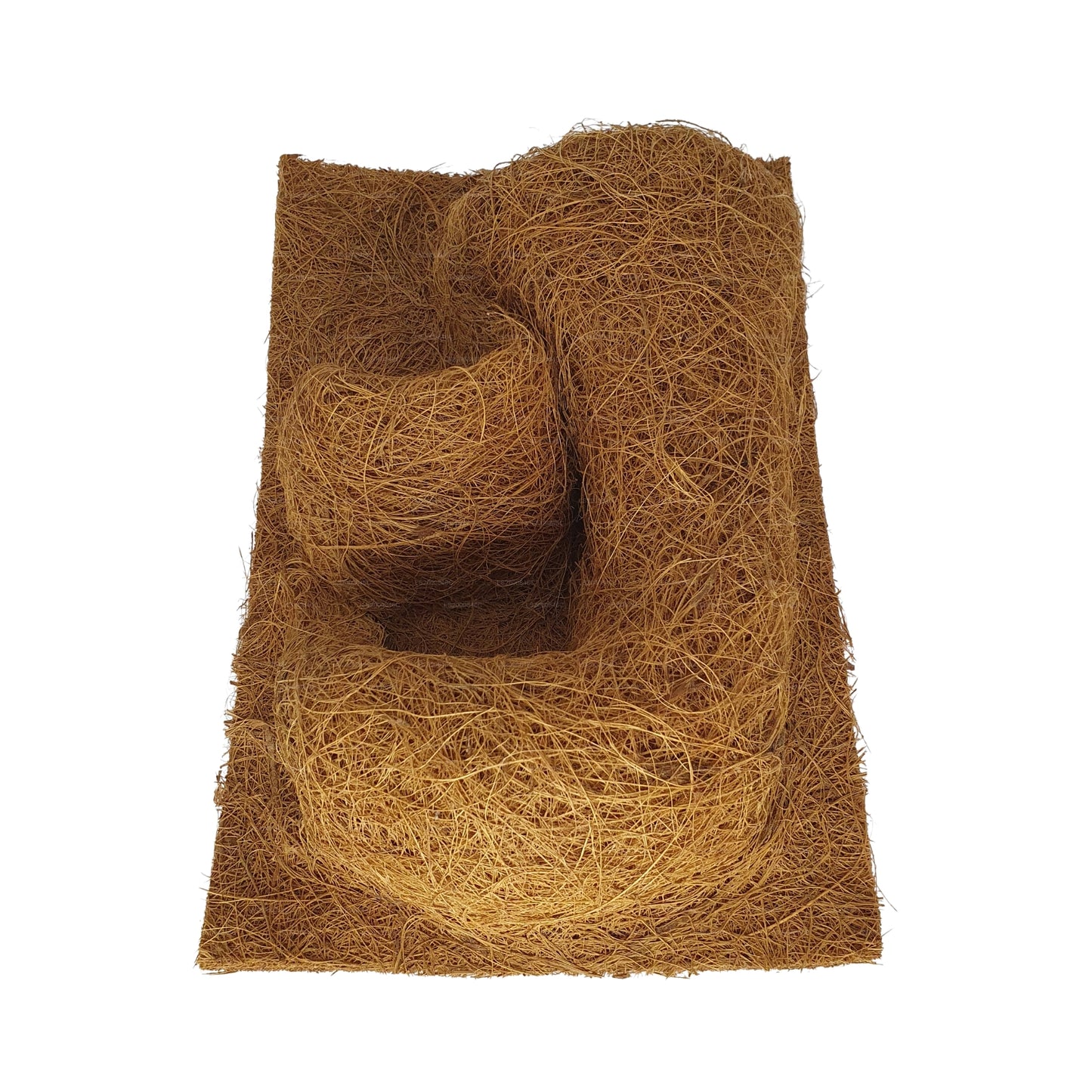 Fond de plantation de coco naturel Bivenro (20 cm x 30 cm)
