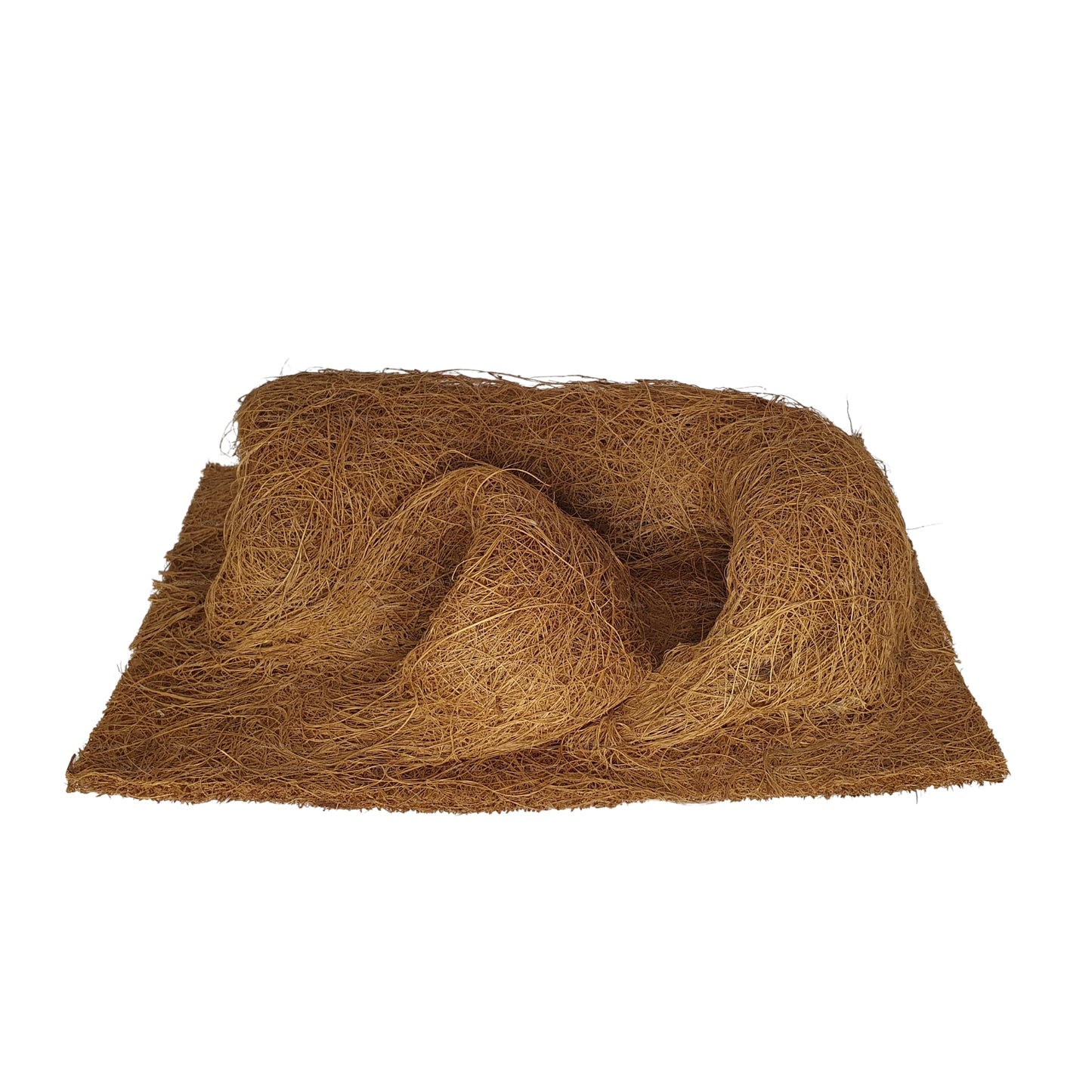 Fond de plantation de coco naturel Bivenro (20 cm x 30 cm)