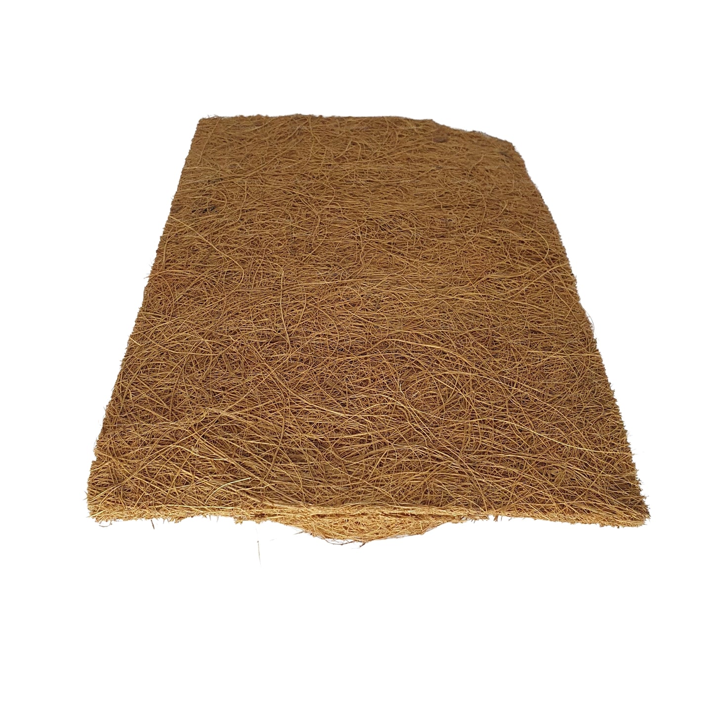 Fond de plantation de coco naturel Bivenro (20 cm x 30 cm)