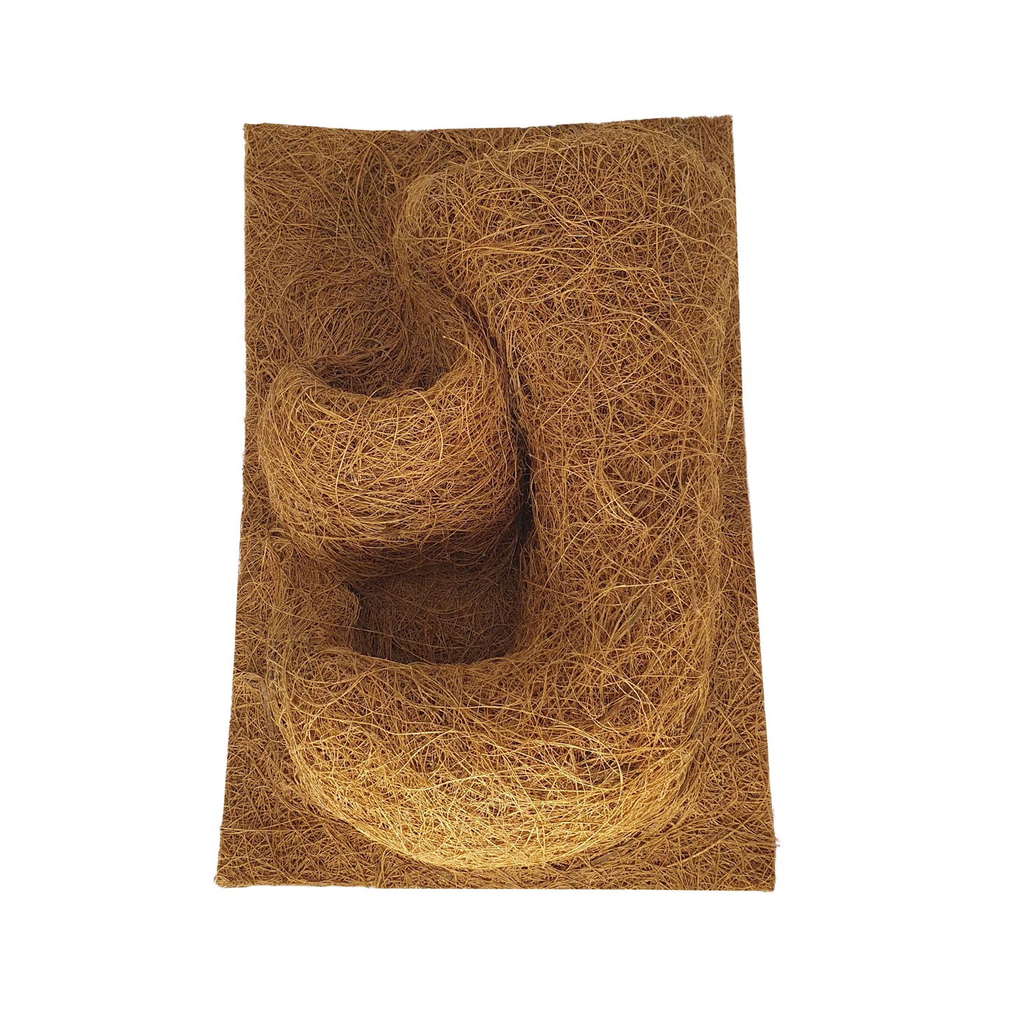 Fond de plantation de coco naturel Bivenro (20 cm x 30 cm)