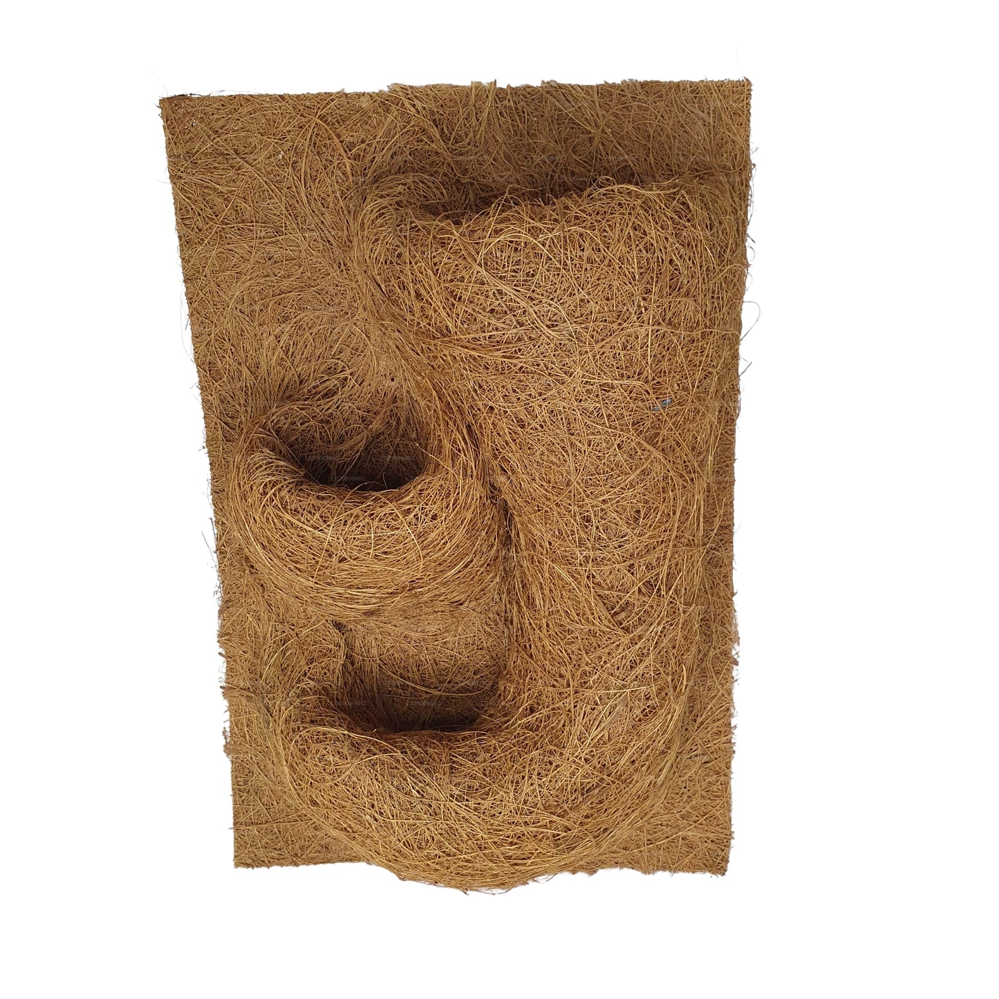 Fond de plantation de coco naturel Bivenro (20 cm x 30 cm)