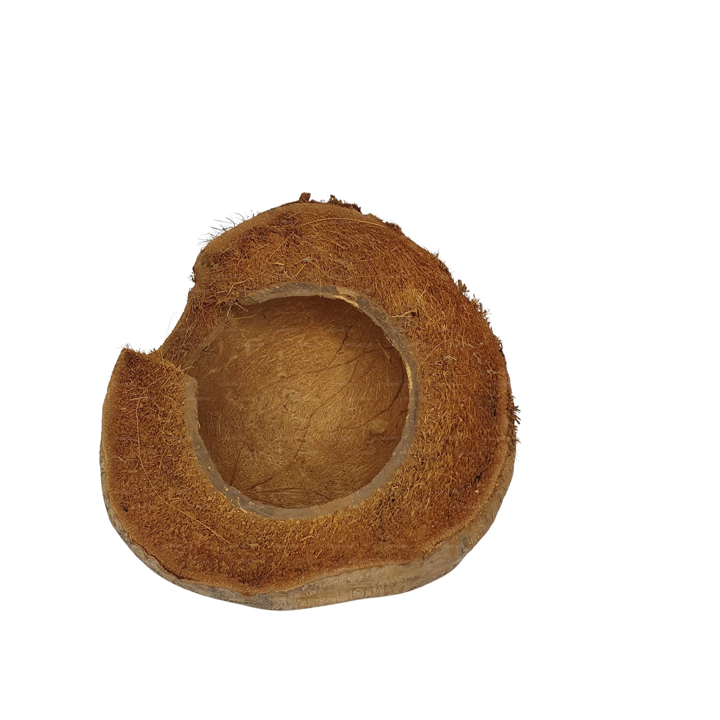 Cachette Bivenro Natural 3/4 en cacao avec motif de cosses (taille libre)