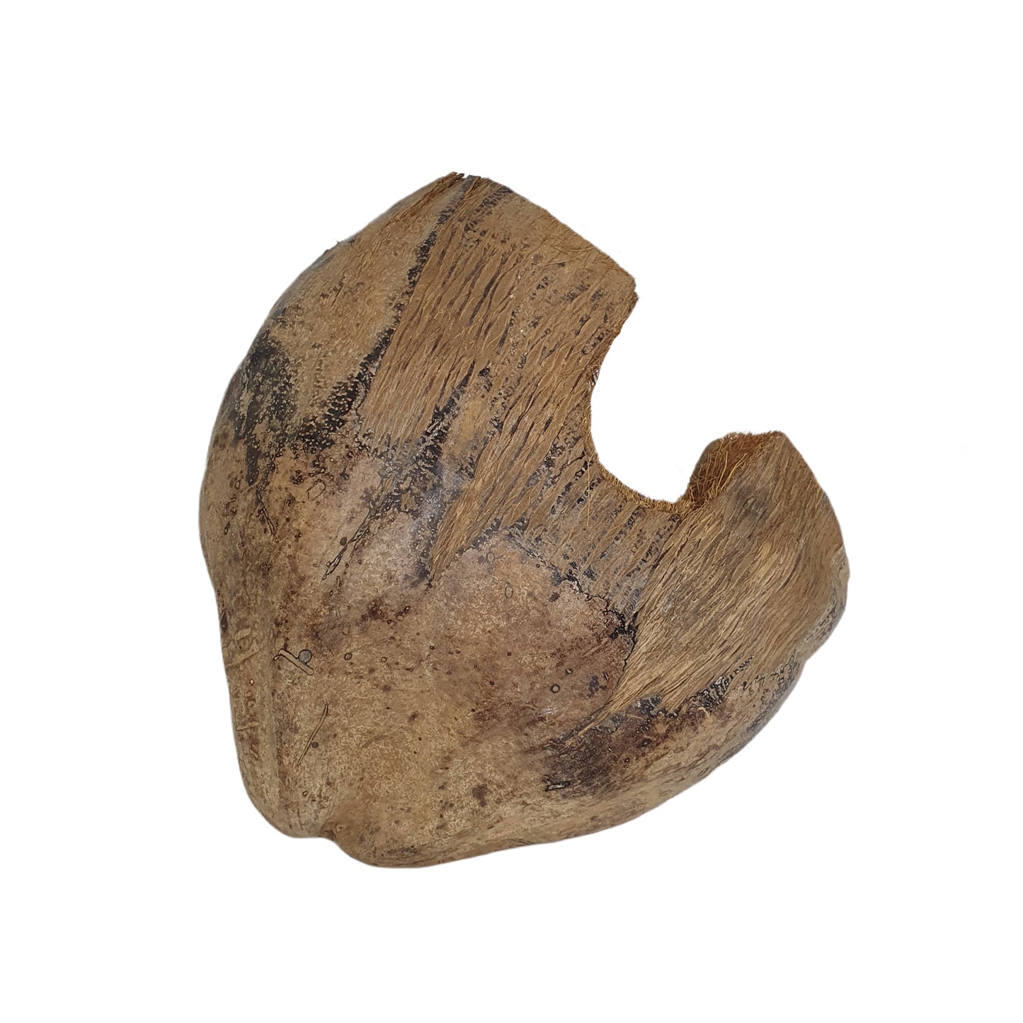 Cachette Bivenro Natural 3/4 en cacao avec motif de cosses (taille libre)