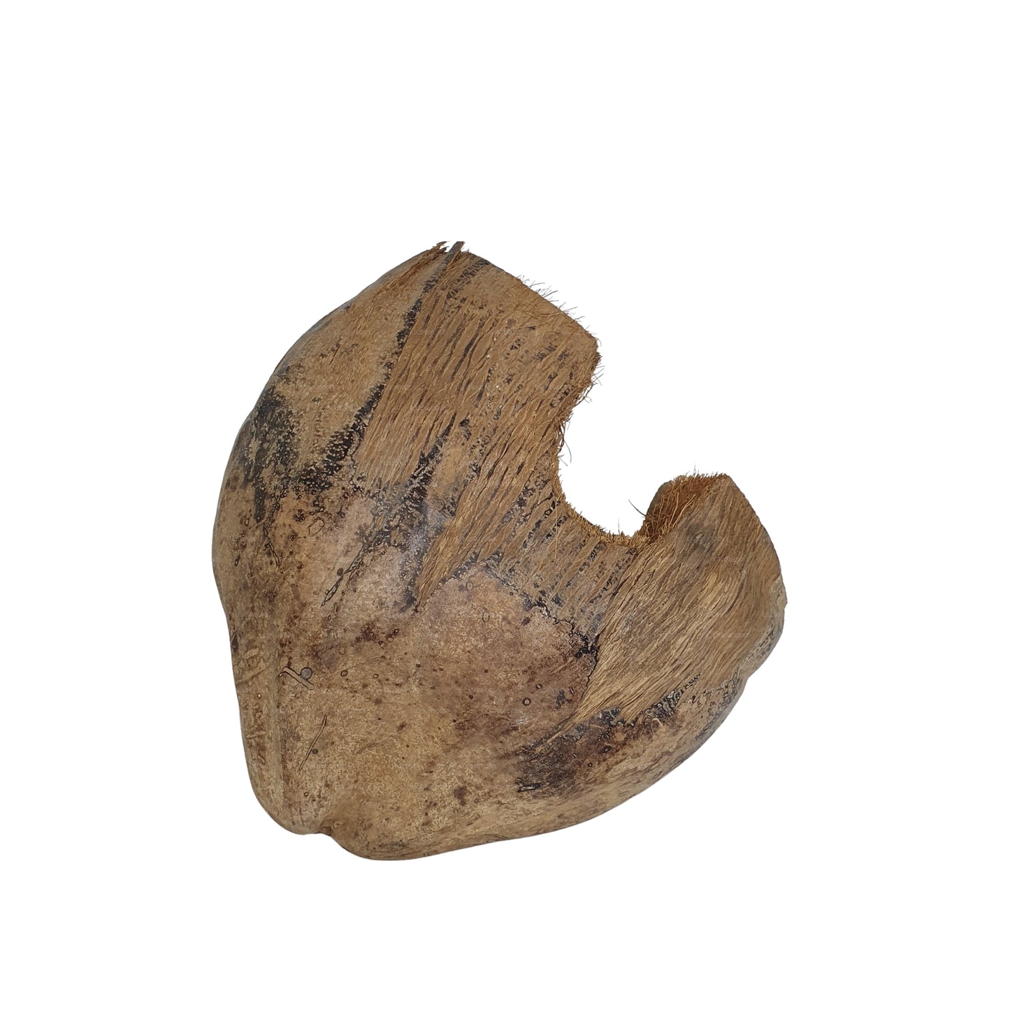 Cachette Bivenro Natural 3/4 en cacao avec motif de cosses (taille libre)
