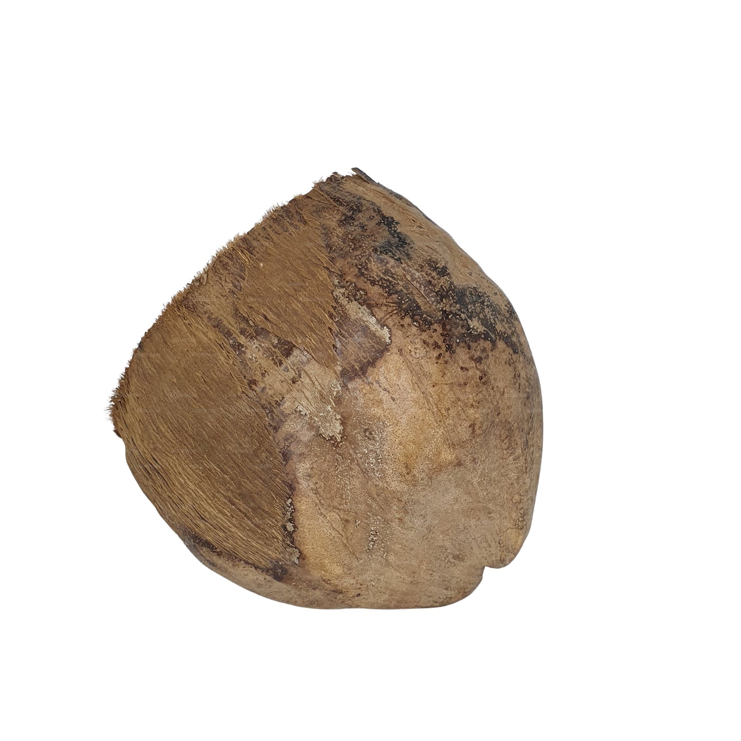 Cachette Bivenro Natural 3/4 en cacao avec motif de cosses (taille libre)