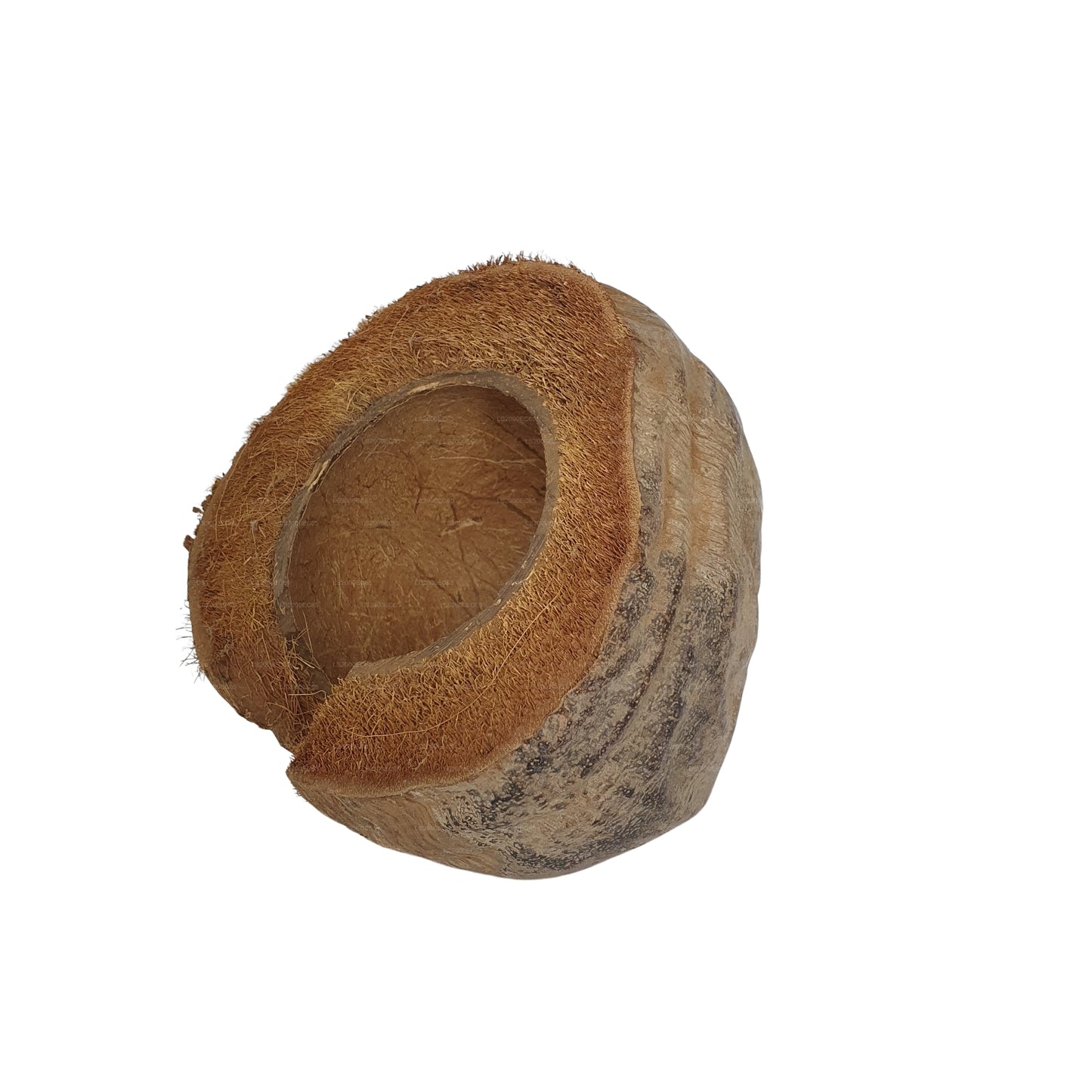 Cachette Bivenro Natural 3/4 en cacao avec motif de cosses (taille libre)