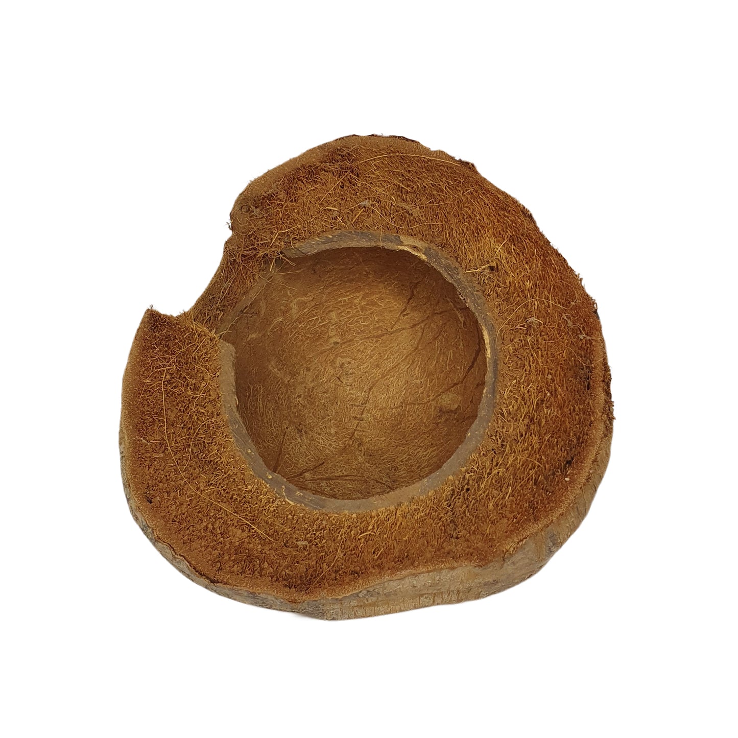 Cachette Bivenro Natural 3/4 en cacao avec motif de cosses (taille libre)