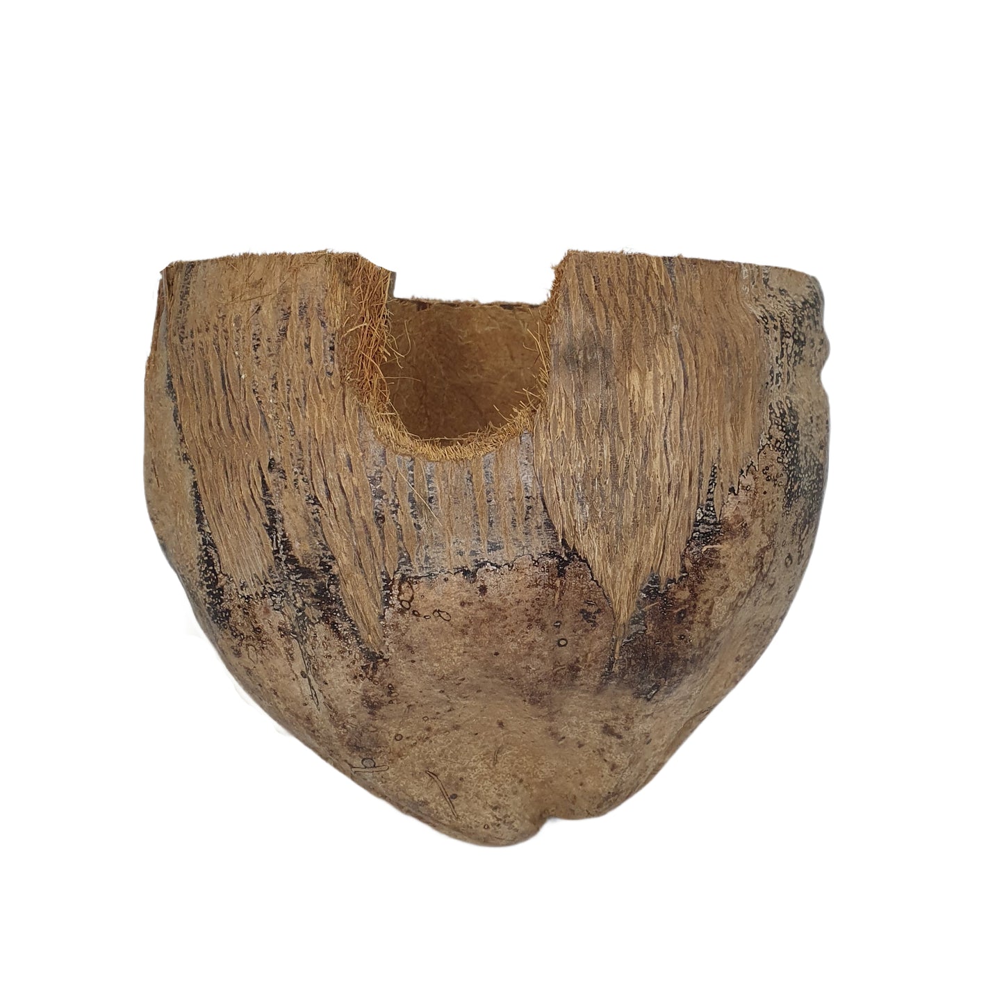 Cachette Bivenro Natural 3/4 en cacao avec motif de cosses (taille libre)