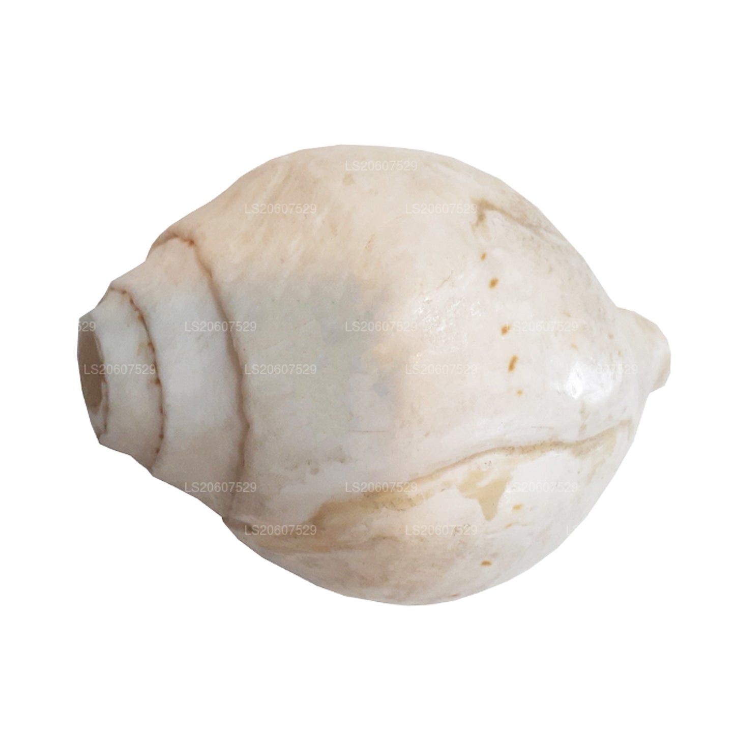 Lakpura Hakgediya sri lankaise